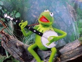 Kermit 的头像