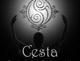 Avatar for Cesta