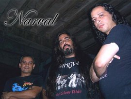 Avatar for Narval