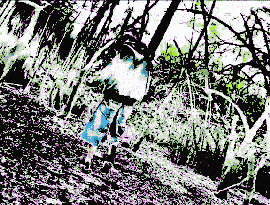 Avatar for Ángel Dumile