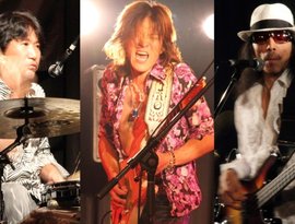 The Sons 的头像