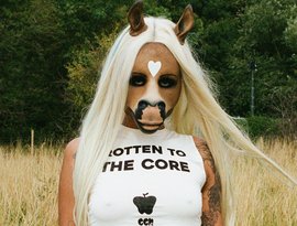 horsegiirL 的头像