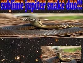 Avatar for SUBLIME JUPITER SNAKE DUO