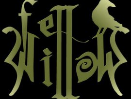 Аватар для Fell Willow