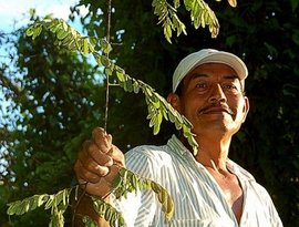 Don Pedro Guerra Gonzales için avatar