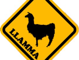 Avatar for LLAMMA