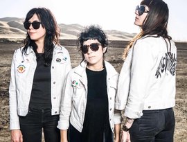 Awatar dla The Coathangers