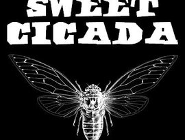 Avatar för Sweet Cicada