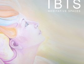 Avatar for Ibis Music
