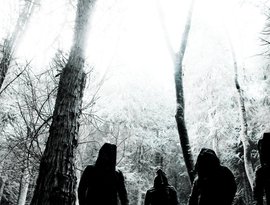 Avatar für Altarage