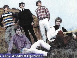 The Zany Woodruff Operation 的头像
