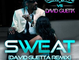 Snoop Dogg feat. David Guetta 的头像