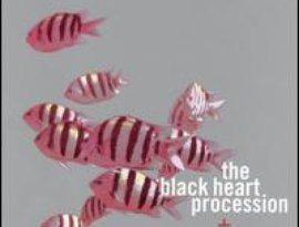 The Black Heart Procession and Solbakken 的头像