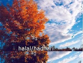 Avatar for halal/hadhari