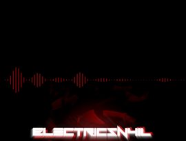 Avatar for ElectricSn4il