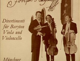 Avatar de The Munich Baryton Trio