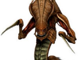 Anal Zerg 的头像