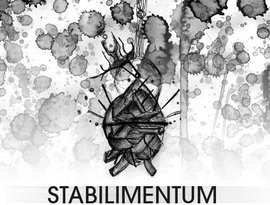 Avatar for Stabilimentum