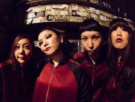 THE JUNGLES!!! 的头像