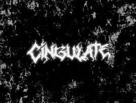 Avatar for Cingulate