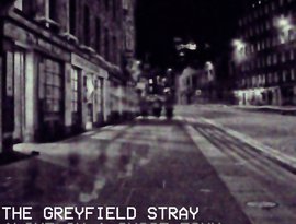 Avatar for The Greyfield Stray