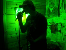 the glow worms 的头像