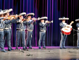 Avatar for Mariachi Los Camperos