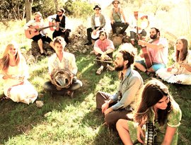 Awatar dla Edward Sharpe & The Magnetic Zeros