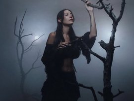 Julia Wolf 的头像