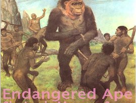Endangered Ape 的头像