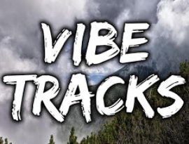 Avatar for Vibe Tracks