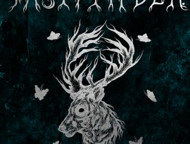 Аватар для Pastfinder