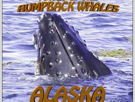 Avatar for Voices Of The Humpback Whales Alaska