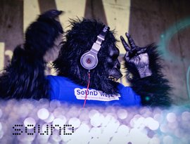 SoUnD WaVeS-official 的头像