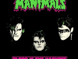 Manimals のアバター