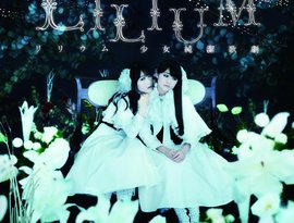 紫蘭・竜胆+少女たち 的头像