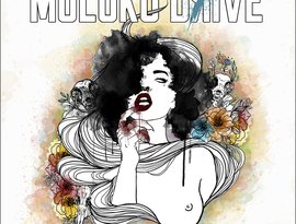 Avatar for Moloko Drive