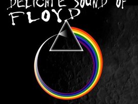 Avatar for The Delicate Sound Of Floyd