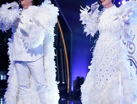 Avatar di The Masked Singer: Snow Owls