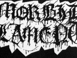 Morbid Lament 的头像