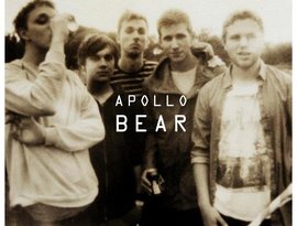 Avatar di Apollo Bear