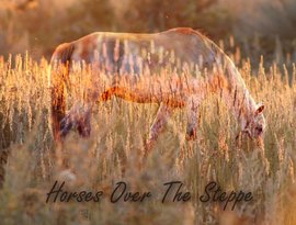 Avatar for Horses Over The Steppe