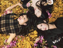 Maximum Decibels: Today's Rock Hits