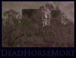 Deadhorsemort 的头像