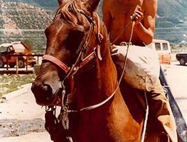 Avatar de Townes Van Zandt