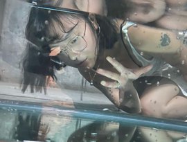 Babebee 的头像