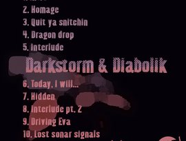 Darkstorm & Diabolik 的头像