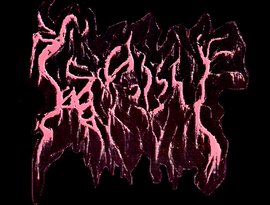 Synistre 的头像