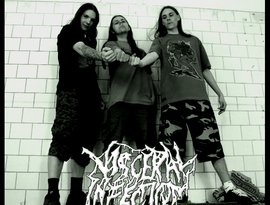 Avatar di Visceral Infection