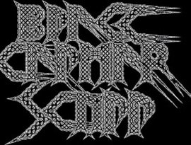 Avatar for Black Kalmar Skull